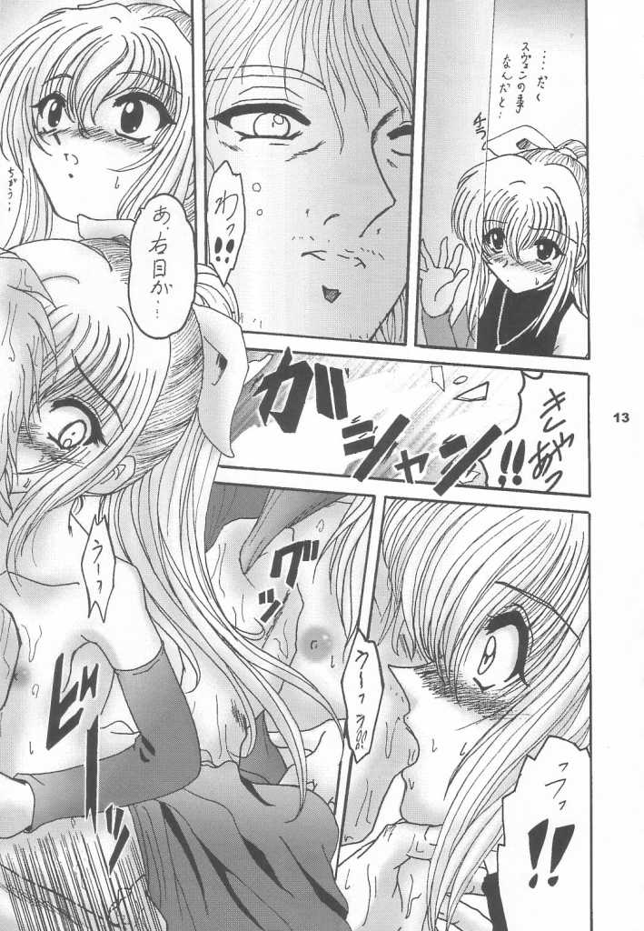 (CR33) [L-Gauge Sha (Shouryuu)] EVE (Black Cat) - Page 12