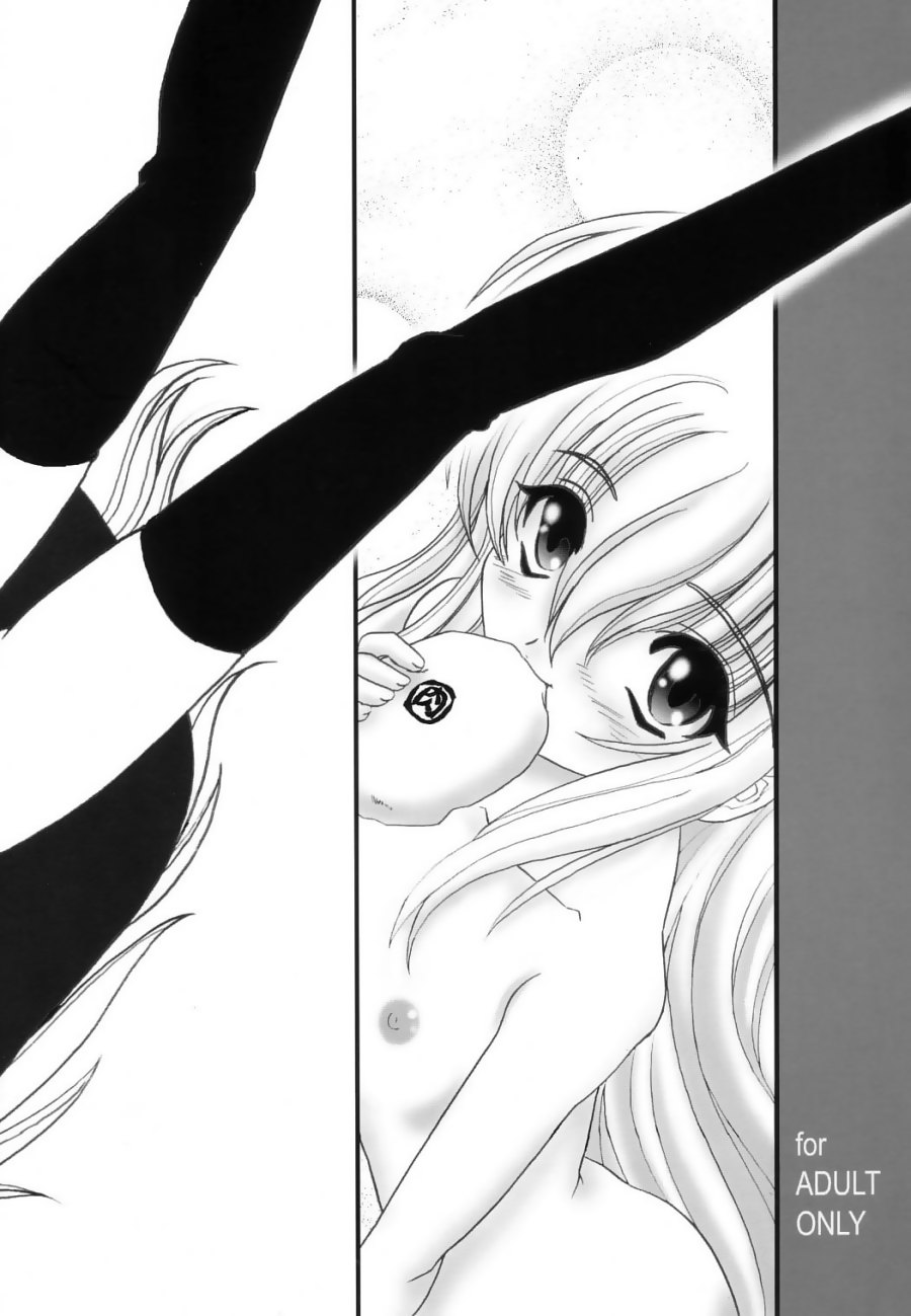 (C64) [L-Gauge Sha (Shouryuu)] EVE 1.5 (Black Cat) - Page 26