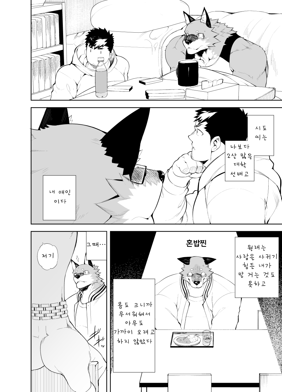 [anything (naop)] Hatsujou Phase | 발정 페이즈 [Korean] [Digital] - Page 8