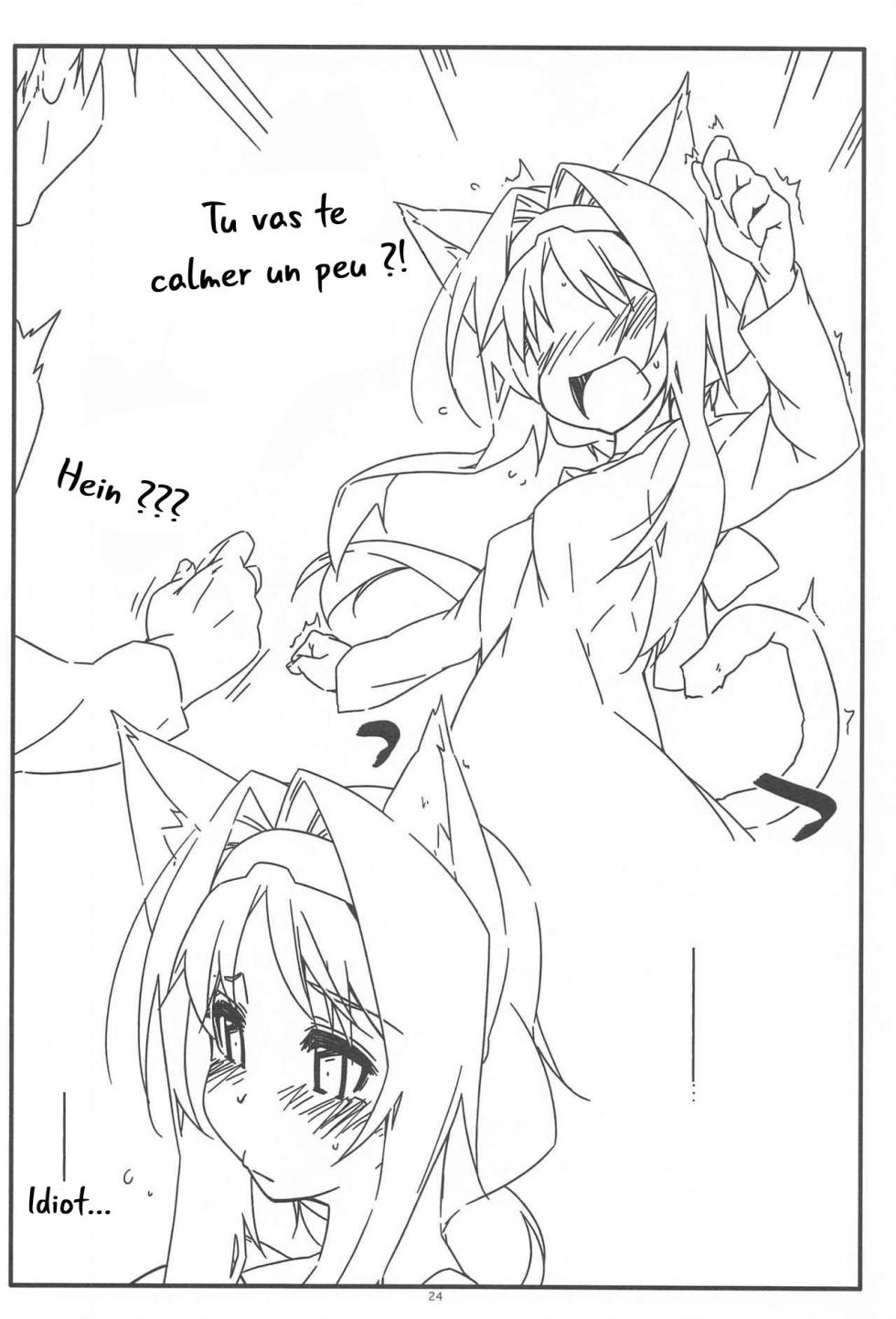 (Hataket) [ANGYADOW (Shikei)] Alice no Naisho | Le secret d'Alice (Sword Art Online) [French] [O-S] - Page 23