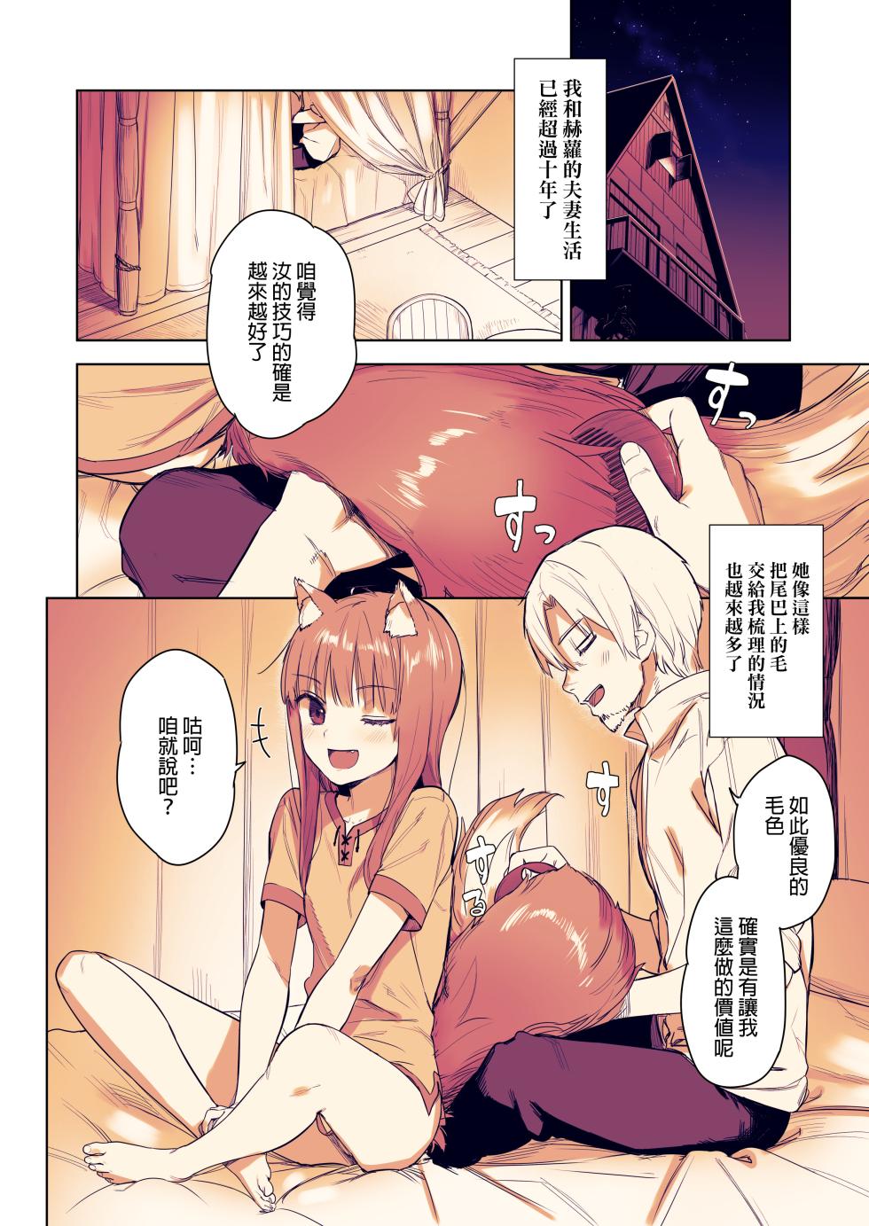 [Ajisaidenden (Kawakami Rokkaku, Takanashi Rei)] Wacchi to Shippori Kezukuroi Hon (Spice and Wolf) [Digital] [Revision] [Chinese] [final個人漢化] [Decensored] - Page 3