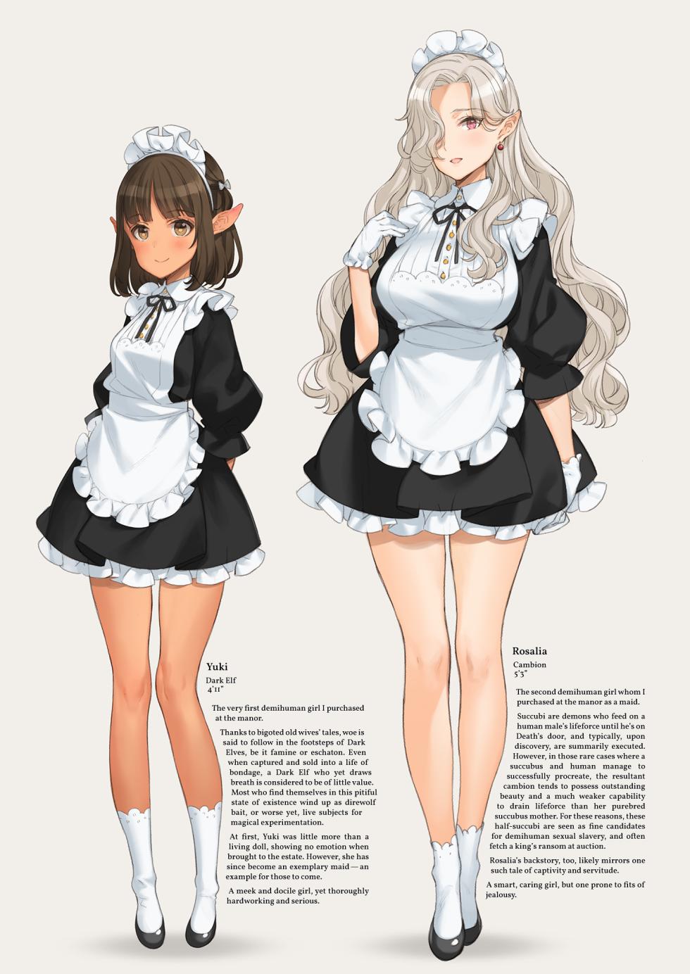[Shoujo Kishidan (Oyari Ashito)] Himitsu no Shoukan de Ajin Maid o | A Secret Brothel with Demihuman Maids [English] [head empty] [Digital] - Page 4