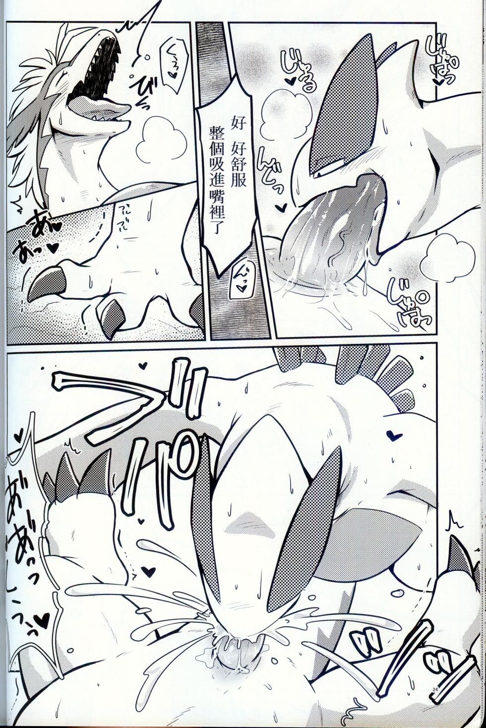 [Kyou no Keiro (Pukkunn)] Sora wa Betsu Sekai e to Tsunagatteiru | 与另一个世界相连的天空 (Legendz: Tale of the Dragon Kings) [Chinese] - Page 23