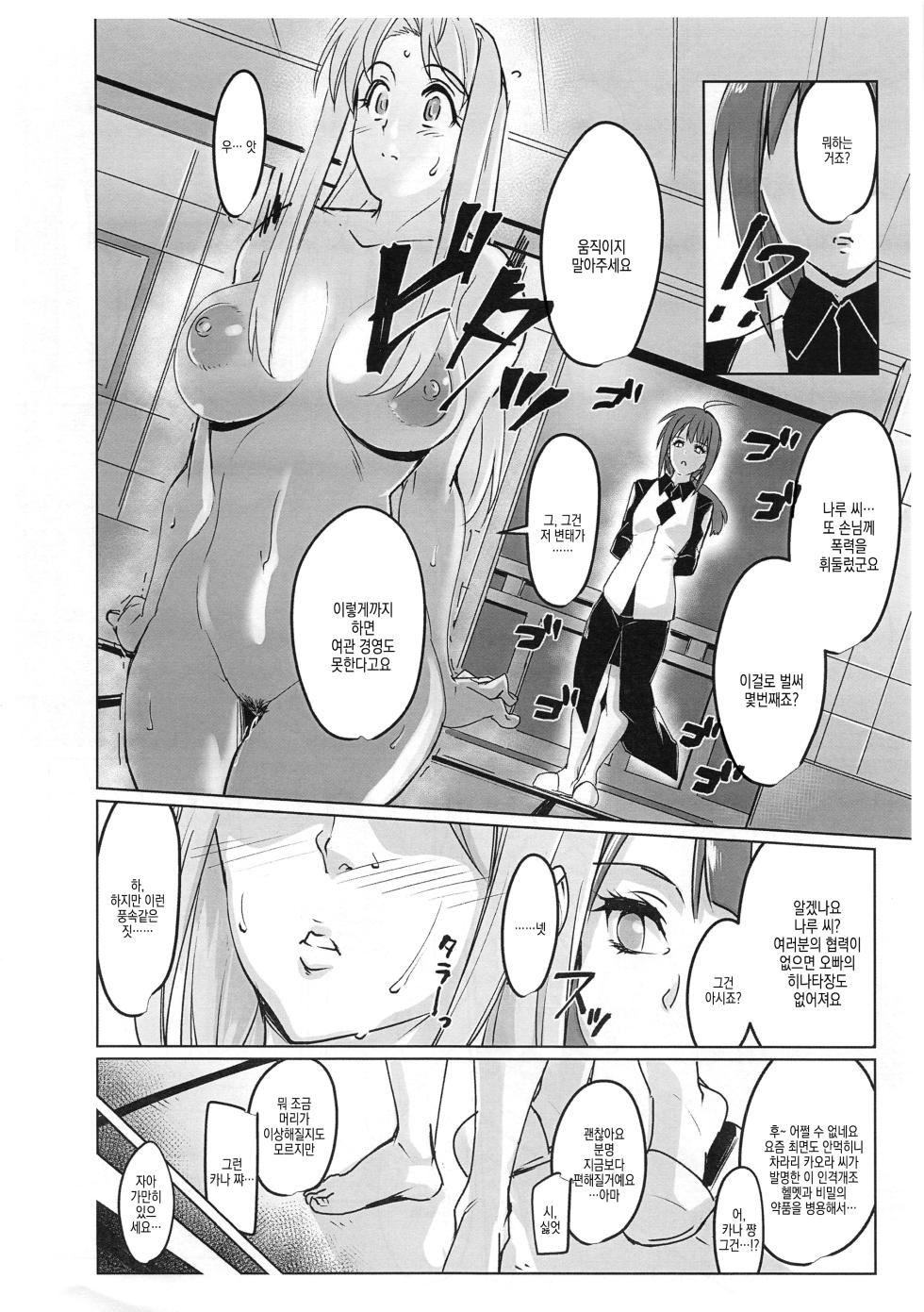 (C95) [Peanutsland (Otakumin)] RARE HINA 7 Junbigou | 라레 히나 7 준비호 (Love Hina) - Page 4