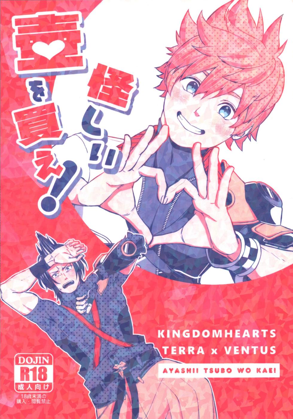 [oshasimi] Ayashii tsubo wo kae! (Kingdom Hearts) - Page 1
