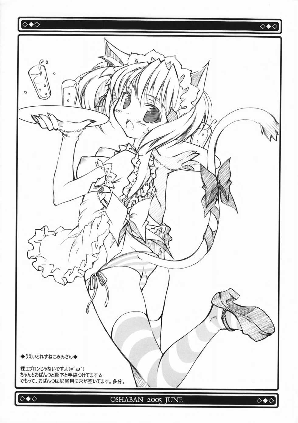 (SC28) [Oshaban (Sasahiro)] Nekomimi Opantsu Bon Shimashima Version - Page 3