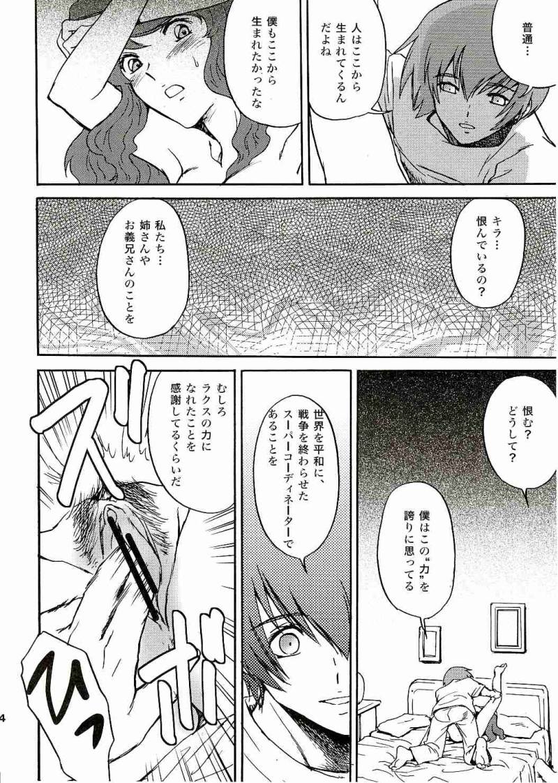 (C69) [Koutatsu Dennou Koushi (Gunblaster Itou)] SEED na MAMA san (Gundam Seed) [2006-01-29 Kai] - Page 35