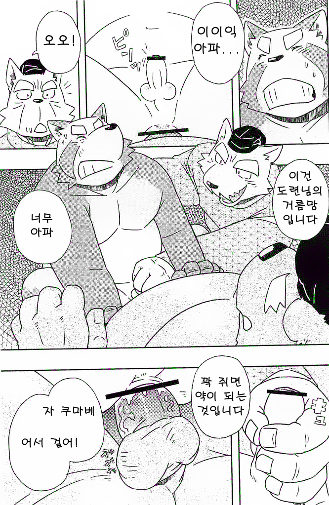 (C81) [Kasuko (Leopon)] Chinpou Yaku [Korean] - Page 12