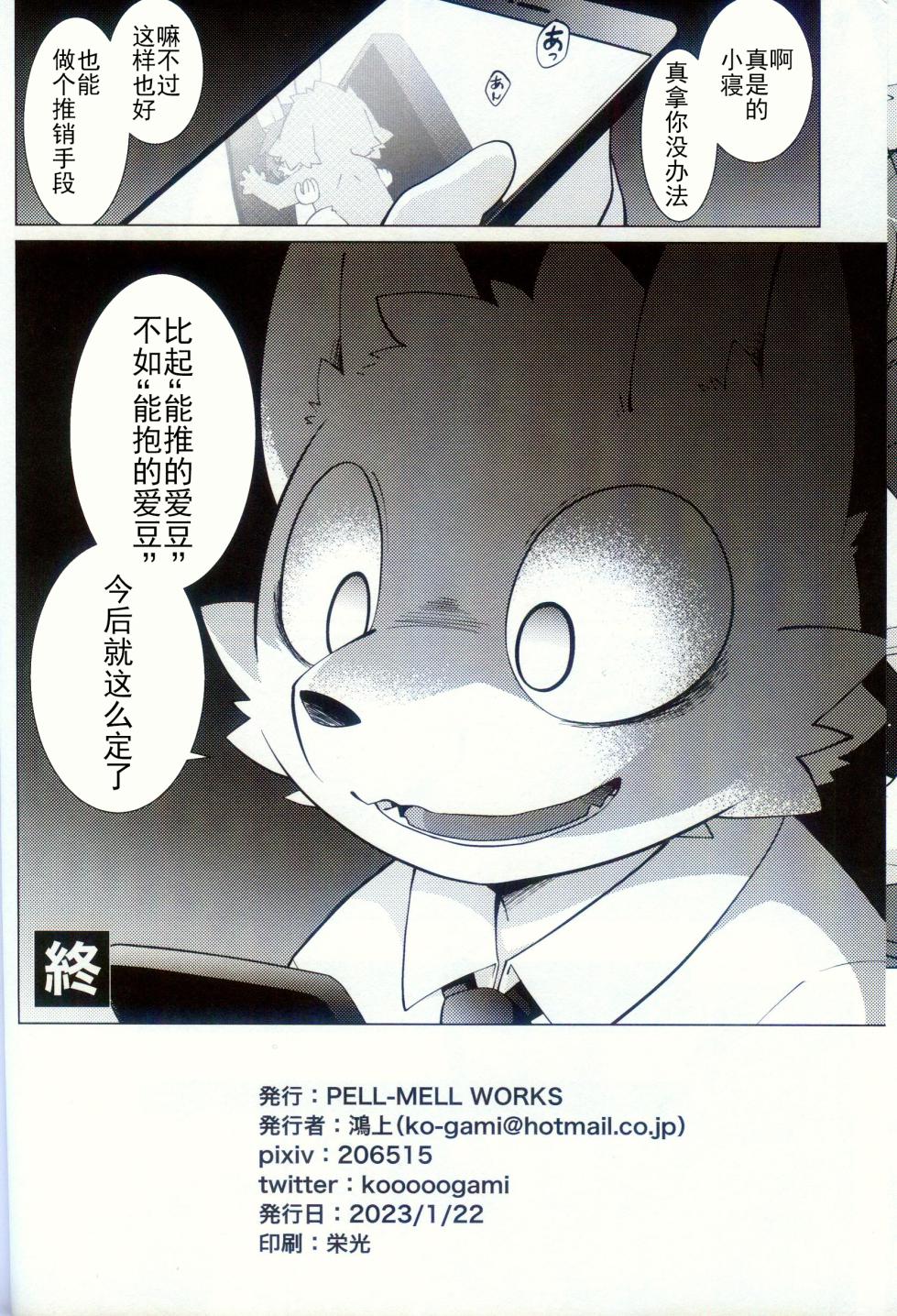 (Shunshun Kemoket 9) [PELL-MELL WORKS (Kougami)] Bokuoshi!! | 我的推し!! [Chinese] [火兔汉化组] - Page 17