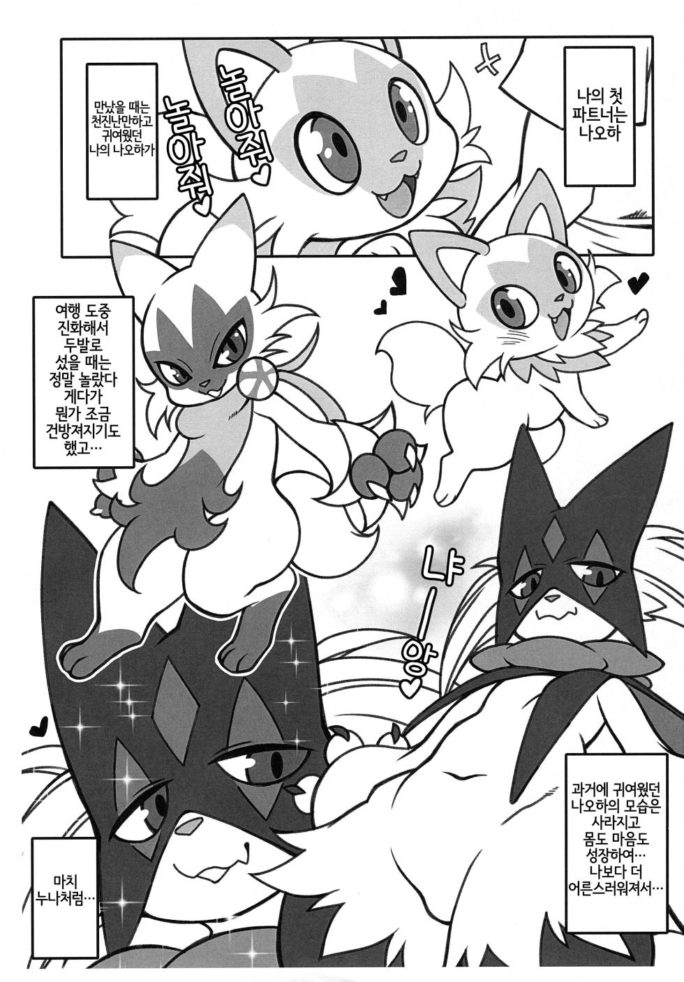 (Shinshun Kemoket 9) [[Mayoineko (Various)] Nyaoha DE Tatta! (Pokémon) [Korean] [LWND] - Page 3