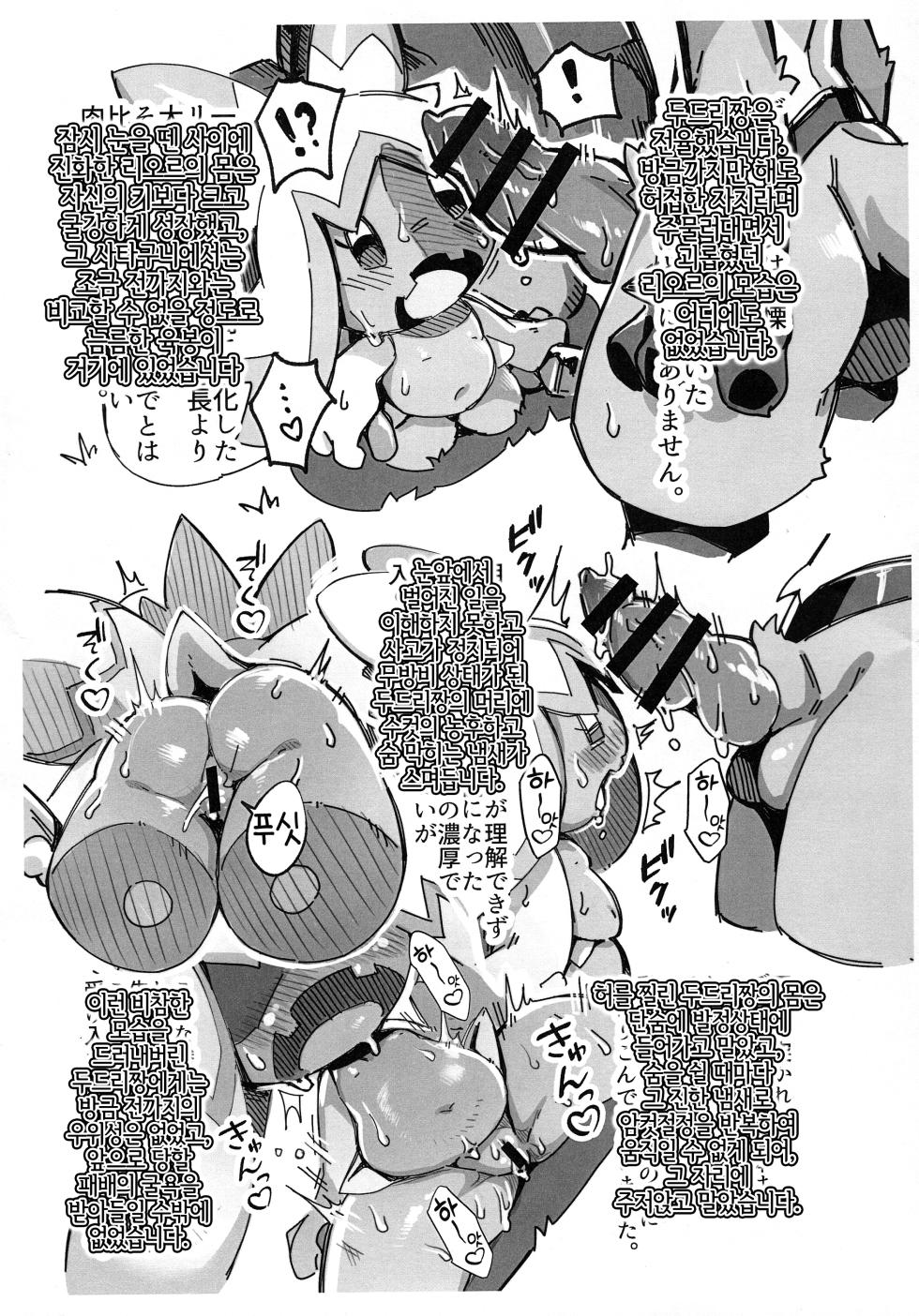 (Shinshun Kemoket 9) [[Mayoineko (Various)] Nyaoha DE Tatta! (Pokémon) [Korean] [LWND] - Page 19