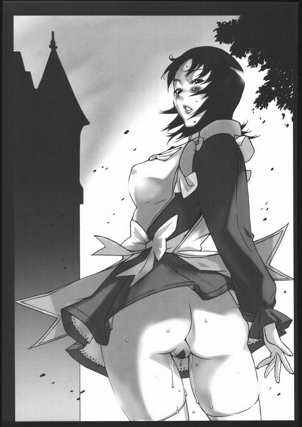 (C69) [ST.DIFFERENT (Various)] OUTLET 25 (Mai-Otome) - Page 40