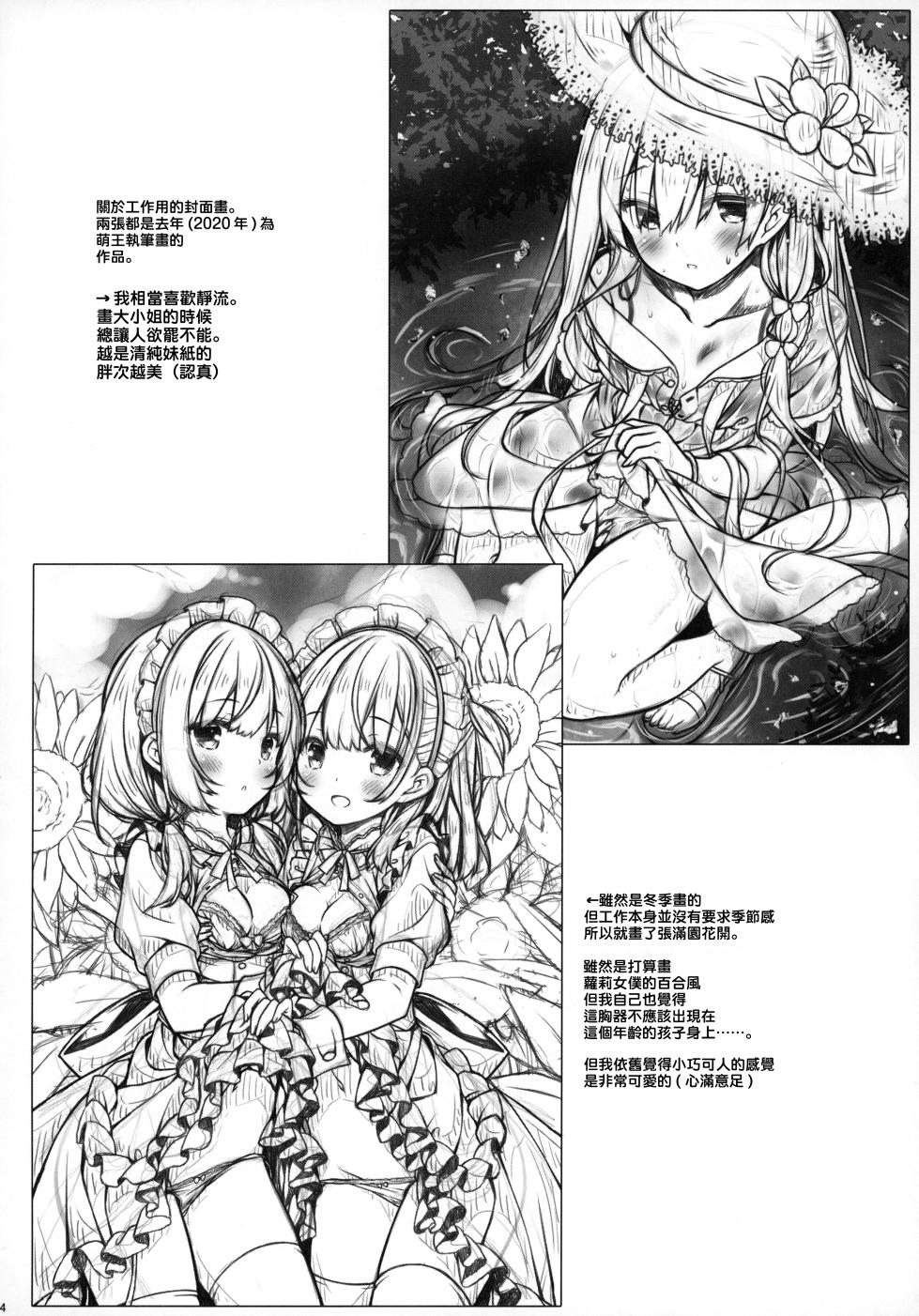 (Mega Akihabara Doujinsai 3) [Botugo (RYO)] Anata no Neko-chan Maid. [Chinese] [一匙咖啡豆汉化组] - Page 24