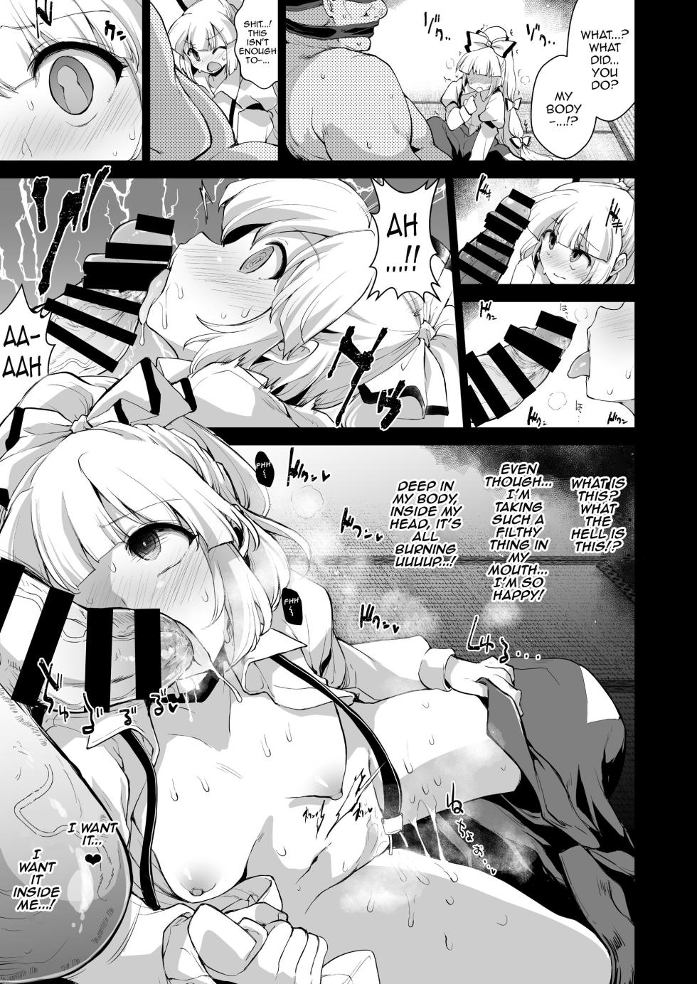 [IncluDe (Foolest)] Okusuri wa Youhou Youryou o Mamotte | Follow The Dosage of Medicine (Touhou Project) [English] {Doujins.com} [Digital] - Page 4