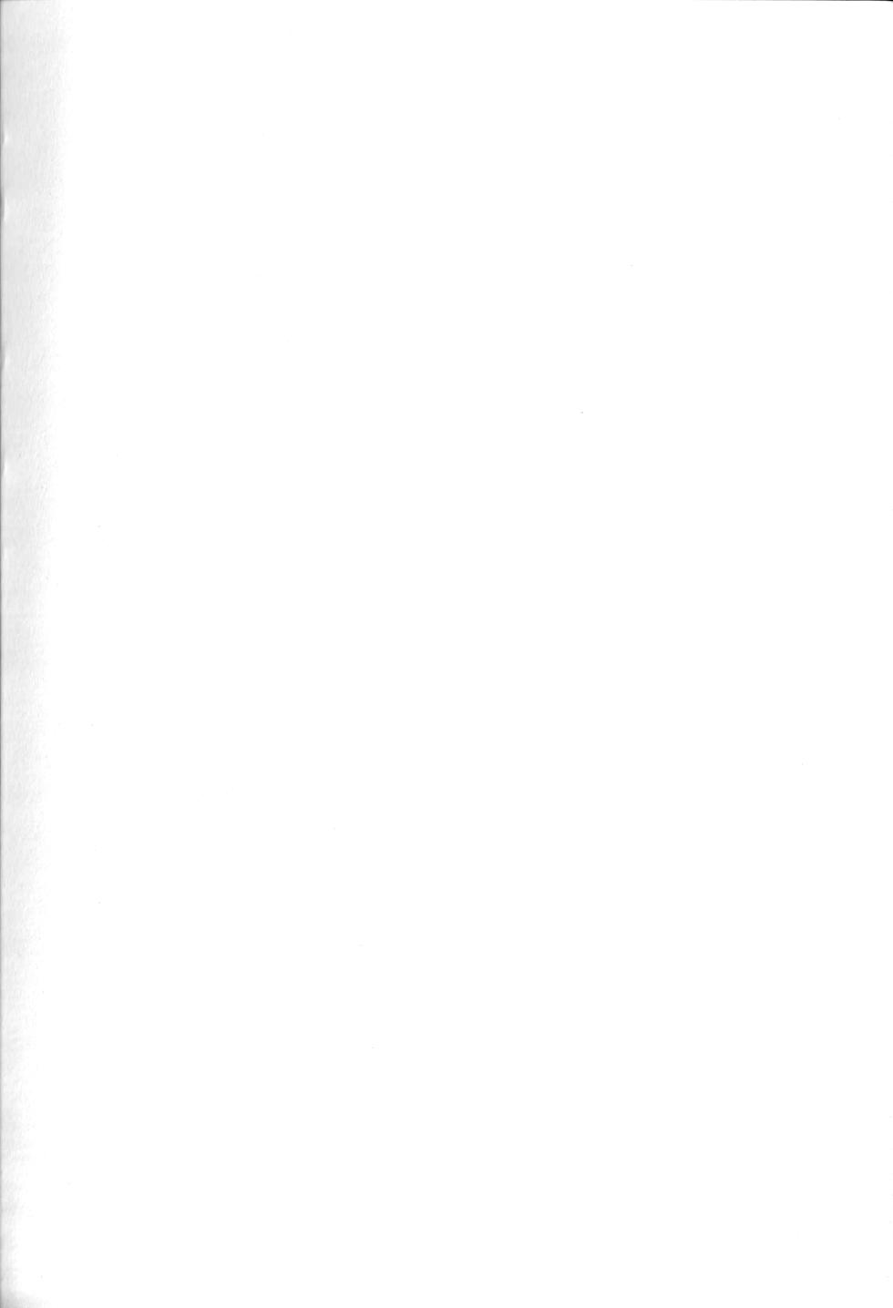 [SERA] MY BEAST (The Legend Of Zelda) [Chinese] - Page 2