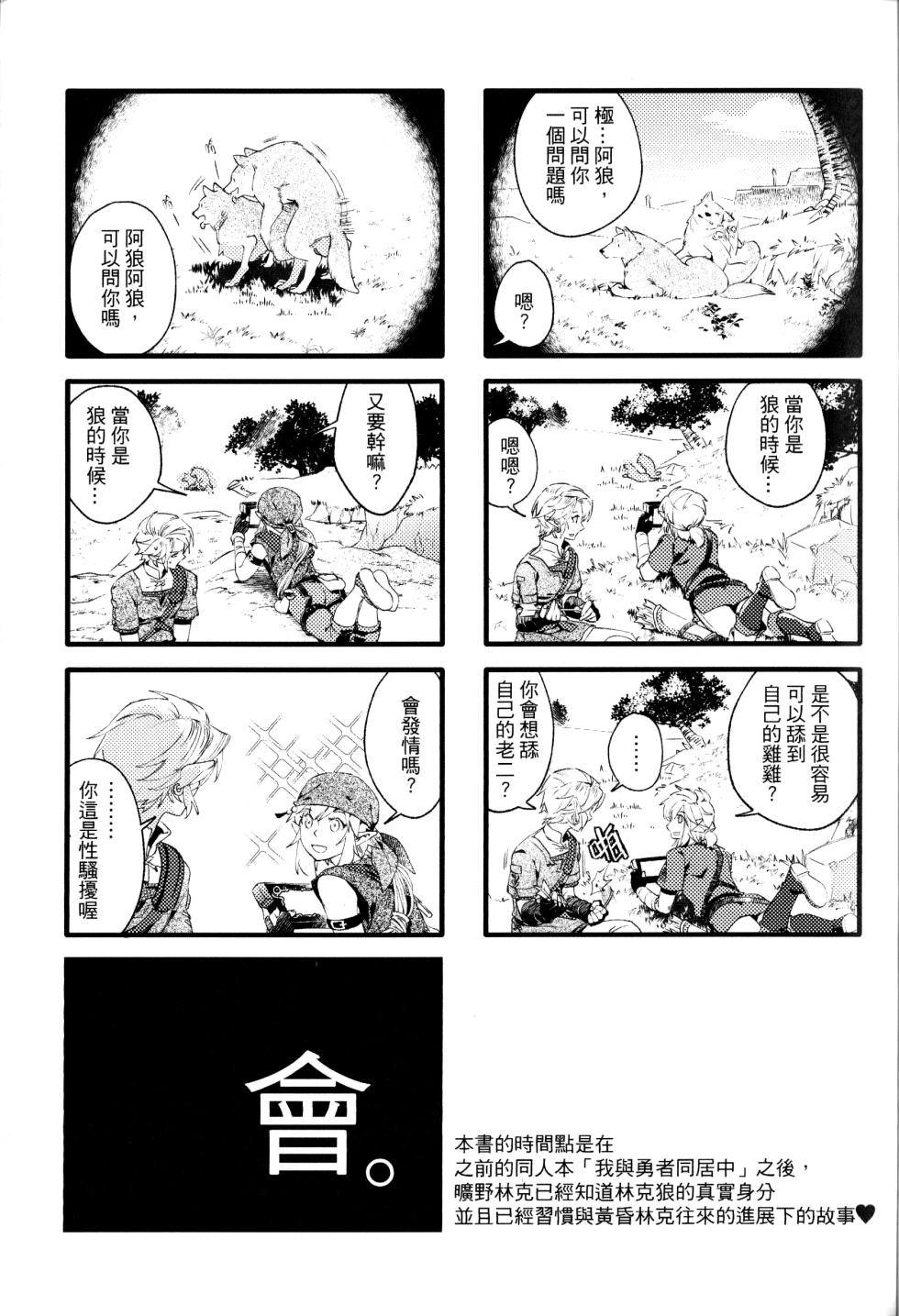 [SERA] MY BEAST (The Legend Of Zelda) [Chinese] - Page 3