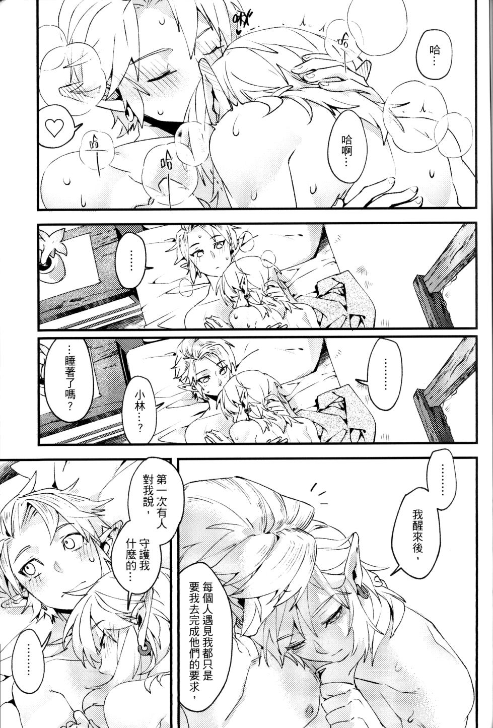 [SERA] MY BEAST (The Legend Of Zelda) [Chinese] - Page 39