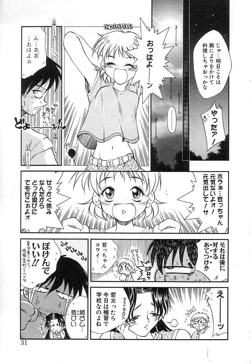 [Tachibana Toshihiro] Natsu ga Kita!! - Summer Crisis!? - Page 30