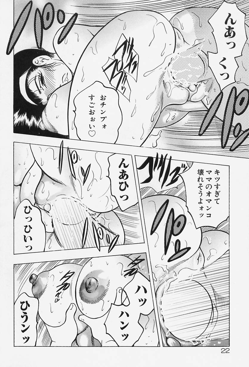 [Bijogi Junction] Shukujo No Seiheki - Page 24