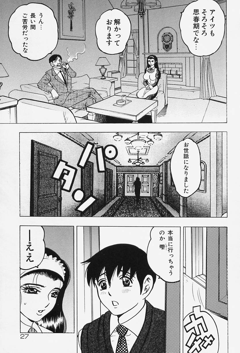 [Bijogi Junction] Shukujo No Seiheki - Page 29