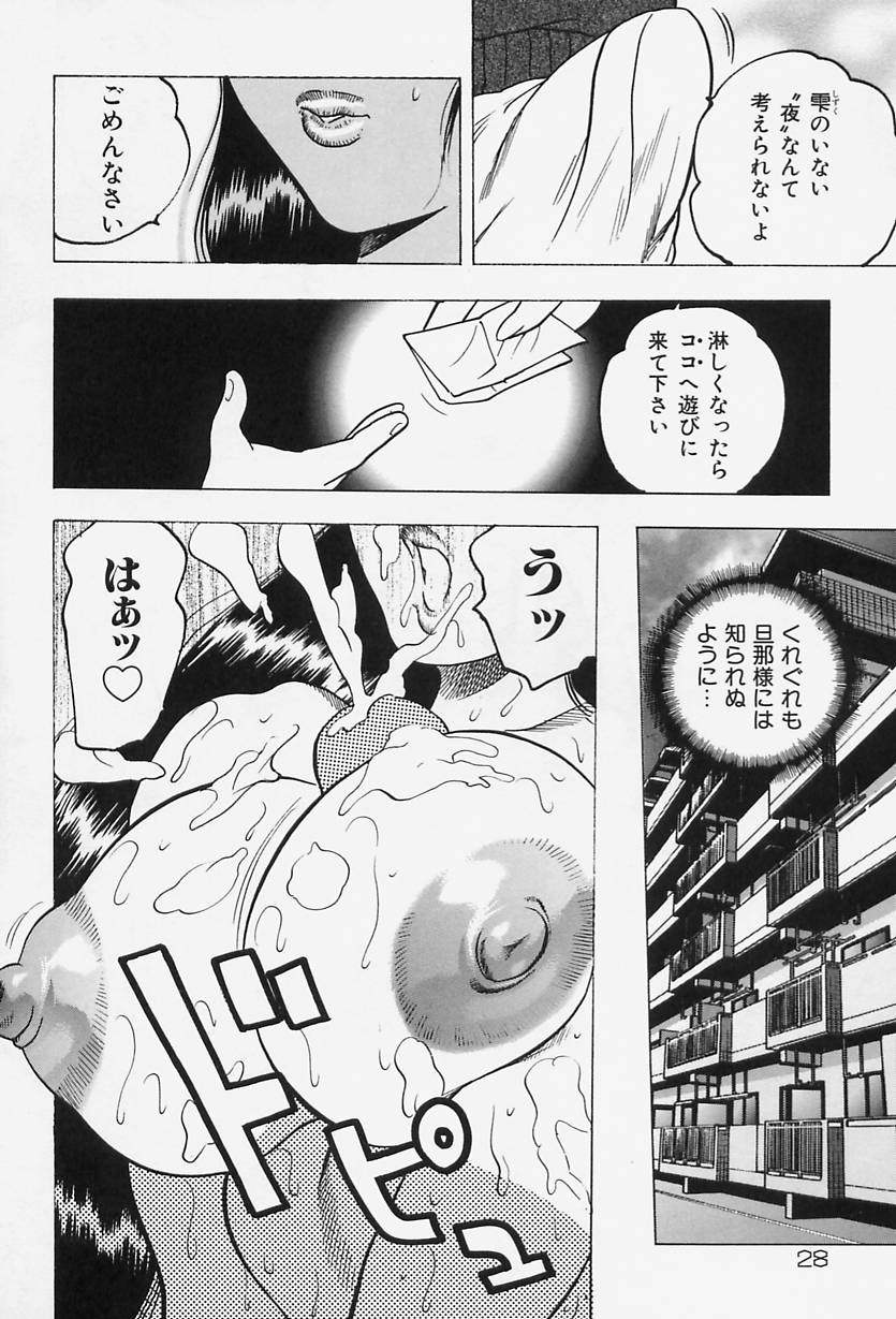 [Bijogi Junction] Shukujo No Seiheki - Page 30