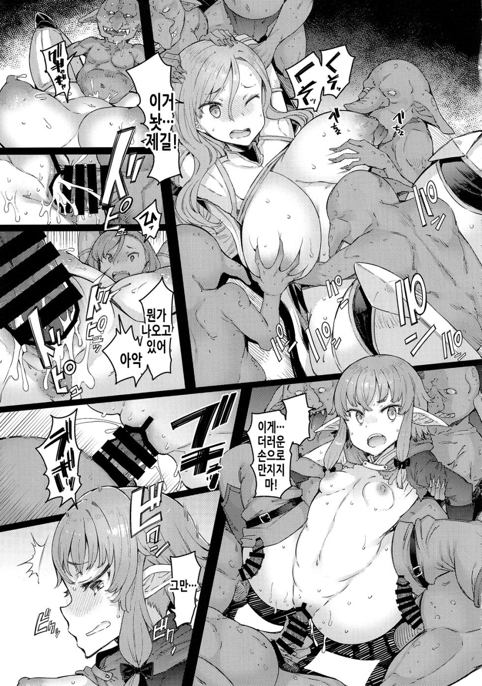 (C101) [Furansowa (EBA)] Kooni no Henpou Kouhen | 고블린의 보복 후편 (Goblin Slayer) [Korean] - Page 9