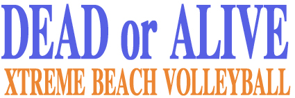 [Garakuta-ya (Neko Manma)] Garakuta-ya Dennou Koubou Vol. 15 DEAD OR ALIVE -XTREME BEACH VOLLEYBALL- (Dead or Alive Xtreme Beach Volleyball) [Decensored] - Page 17