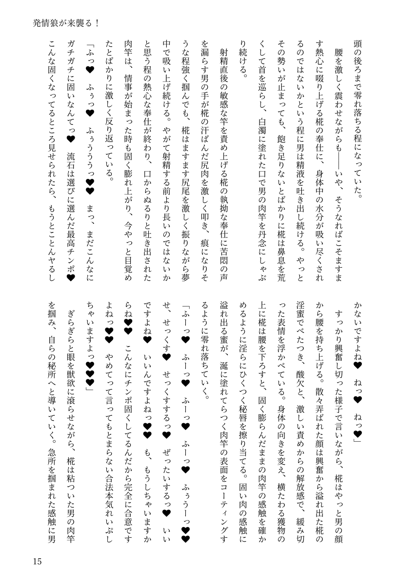 [Chinchintei (chin)][Asa2ki(asagi)]【例大祭20新刊】東方R-18小説本「発情狼が来襲る！」 - Page 14