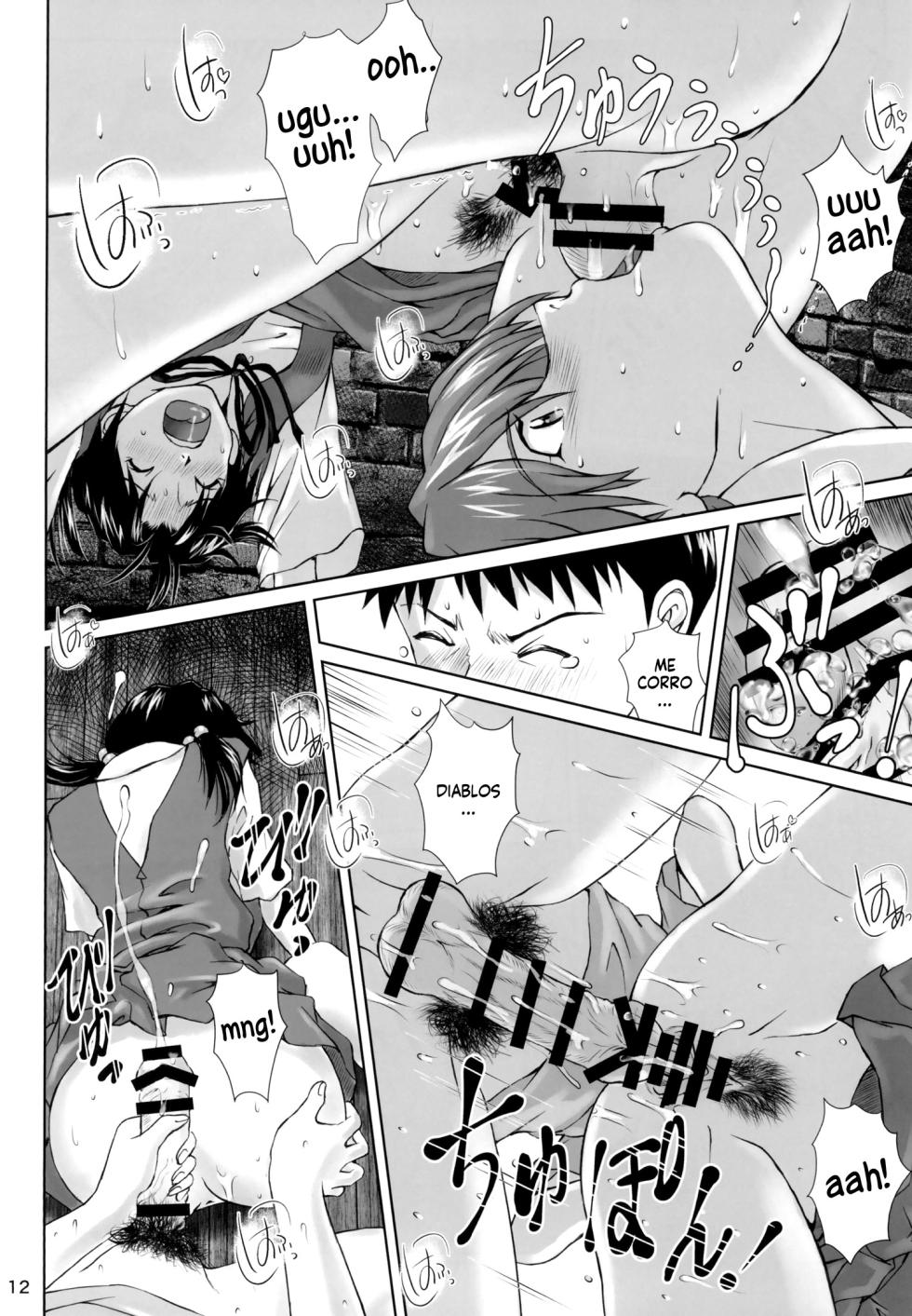 [Tengu no Tsuzura (Kuro Tengu)] Side effect (Neon Genesis Evangelion) [Digital] [Spanish] [Harenchi no Fansub] - Page 12