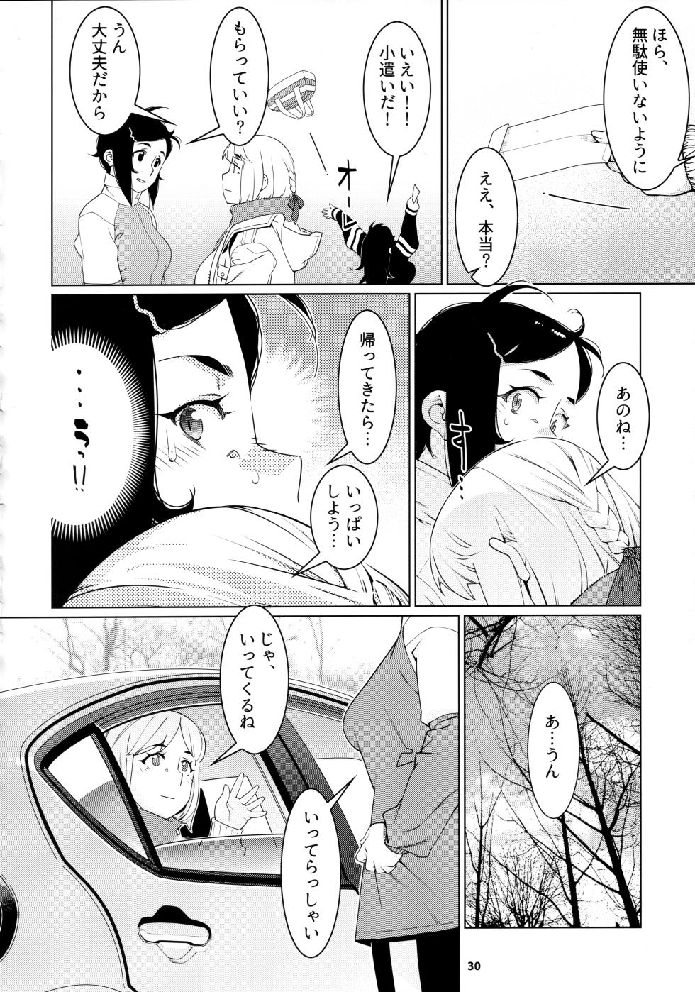 大人のおもちや21 - Page 29