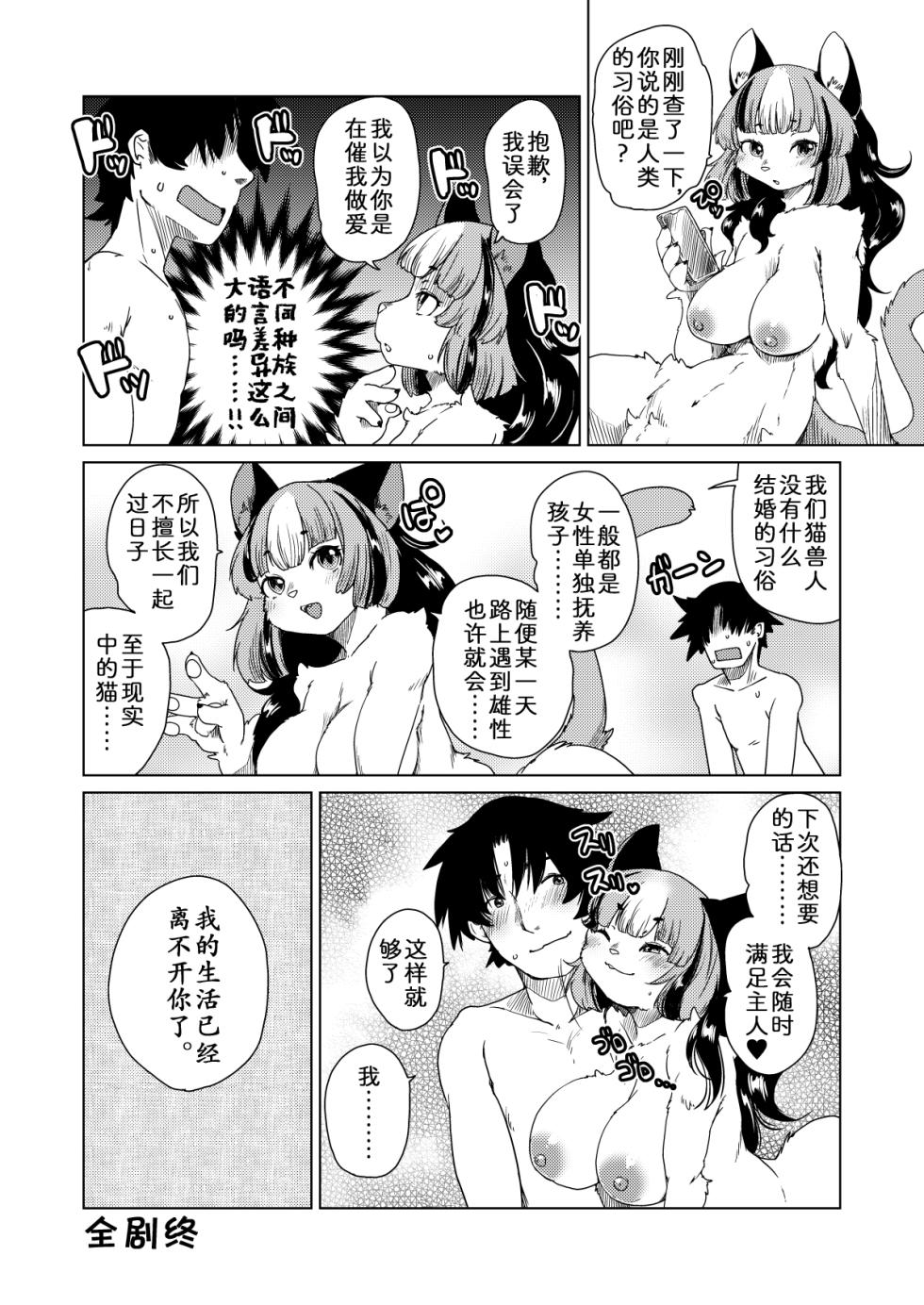 (Kemoket 13) [Noraya (Setouchi Kurage)] Mou Kimi ga Inai to Dame mitai [Chinese] [zc2333] - Page 9