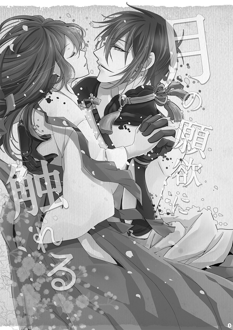 [Kanafuji] [Web Sairoku] Mikasani - Page 2