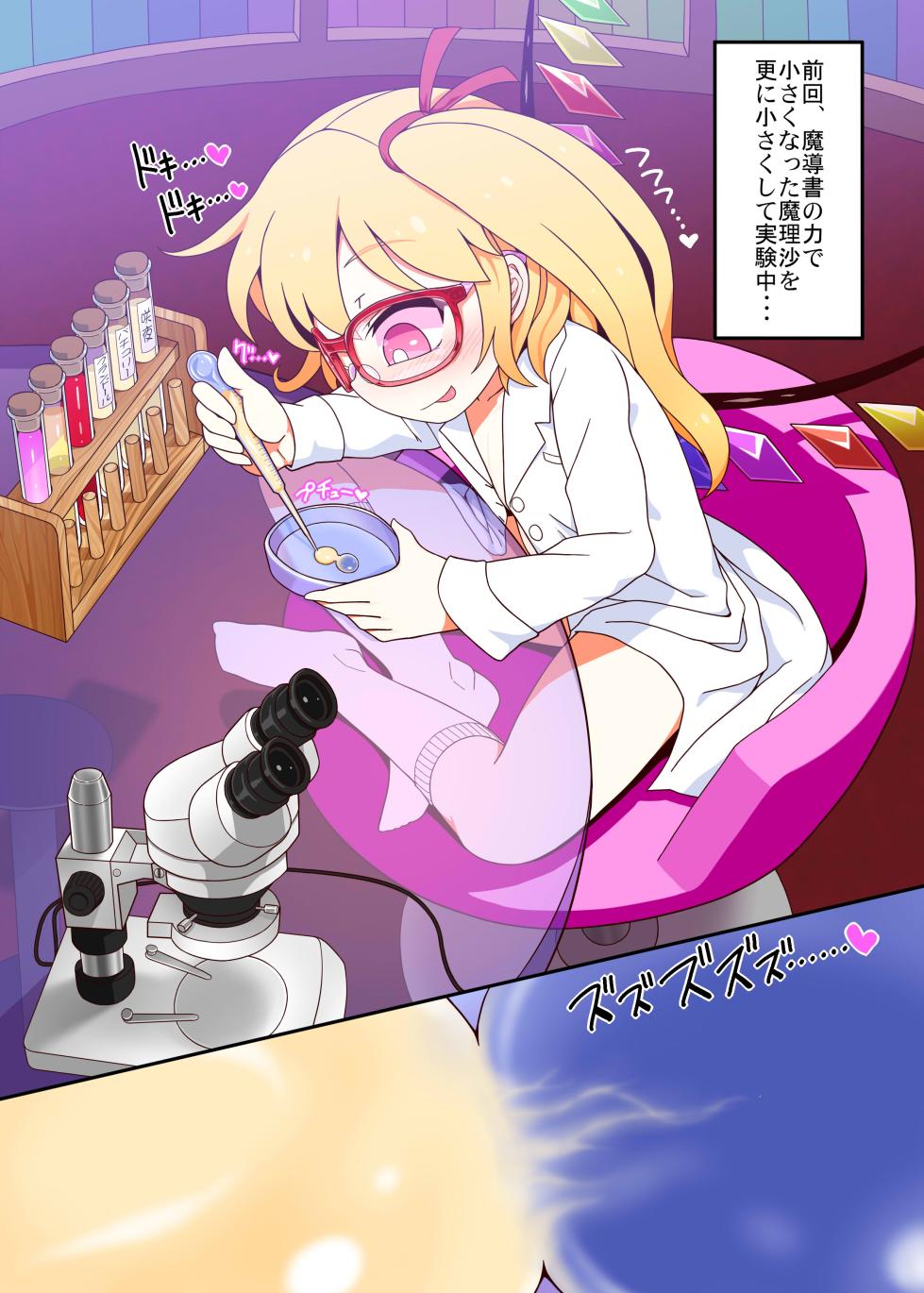 [Yashiya (YASSY)] Micro Marisa to Flan Chan no Shukushou Ijime (Touhou Project) [Digital] - Page 5