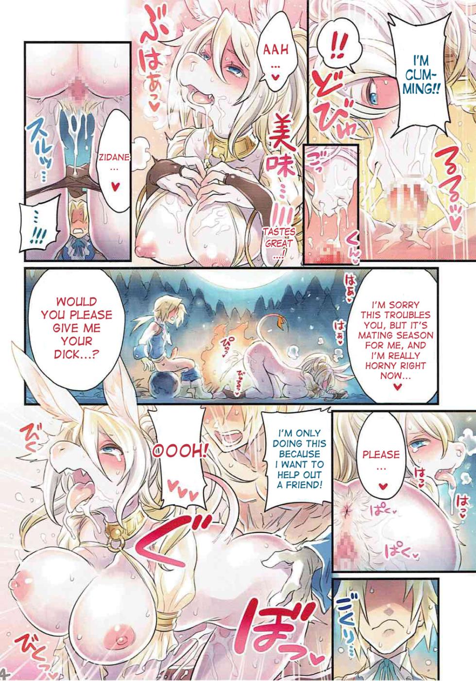 (C91) [Mimoneland (Mimonel)] Nakama to Issen Koechau Hon ~FF Hen~ (Final Fantasy) [English] [desudesu] - Page 13