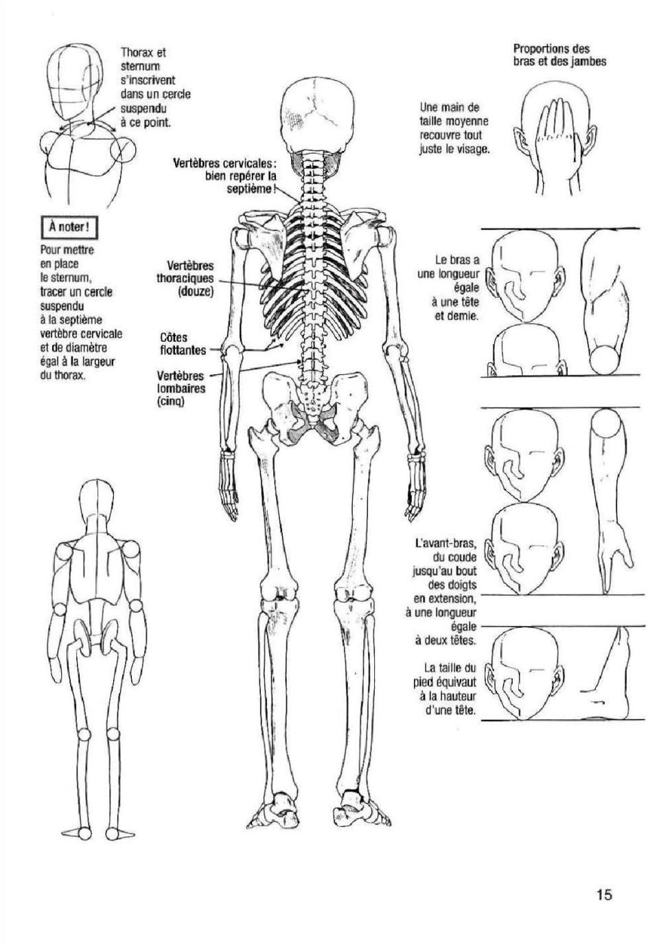 How To Draw Manga Vol. 25 Bodies and Anatomy - Page 15