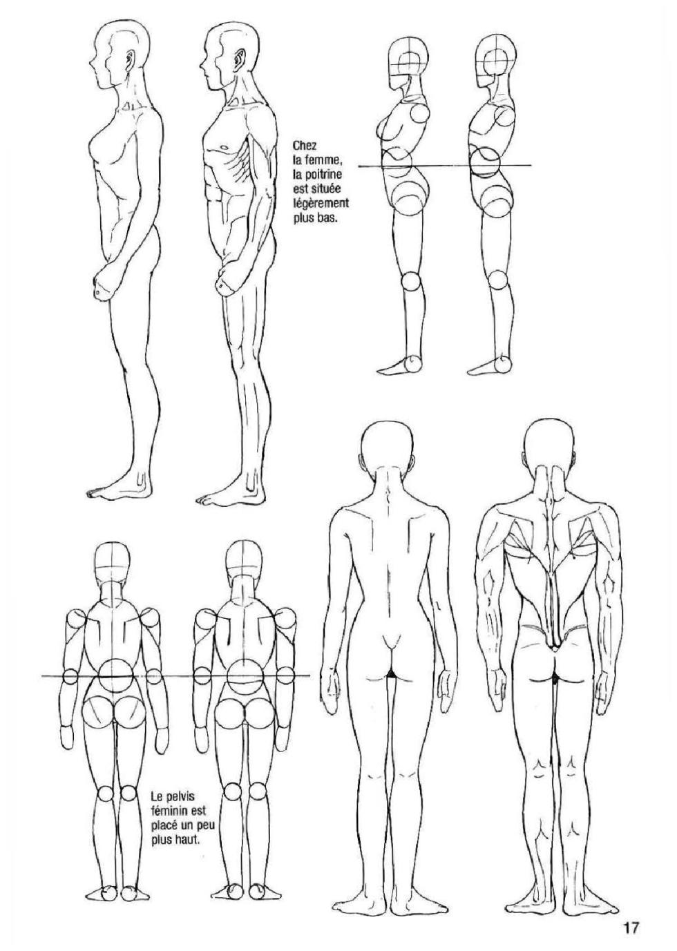 How To Draw Manga Vol. 25 Bodies and Anatomy - Page 17