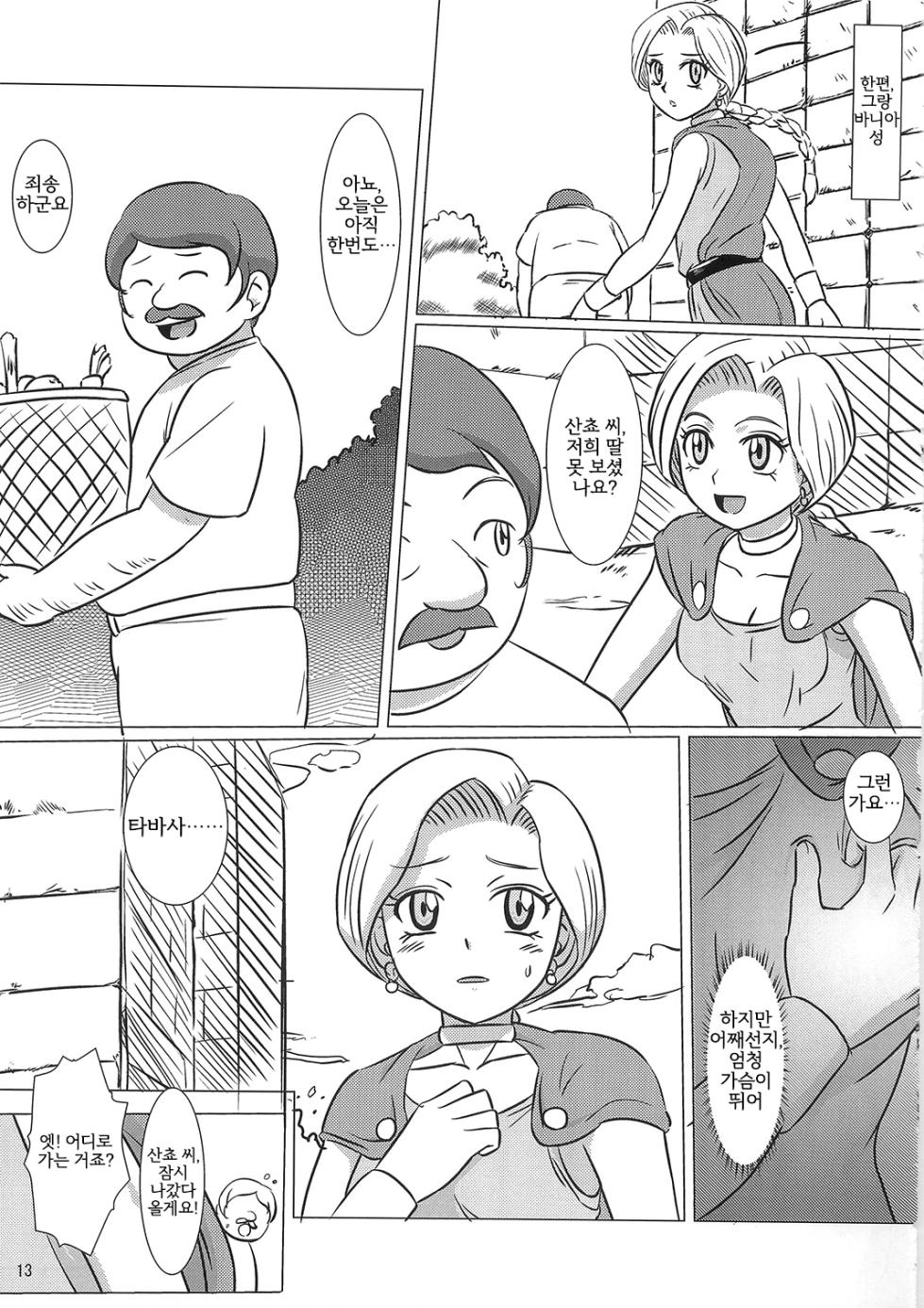 [Inja no Kuruwa (Huracan)] Bianca to Tabitha (Dragon Quest V) [Korean] {역식채널} - Page 12