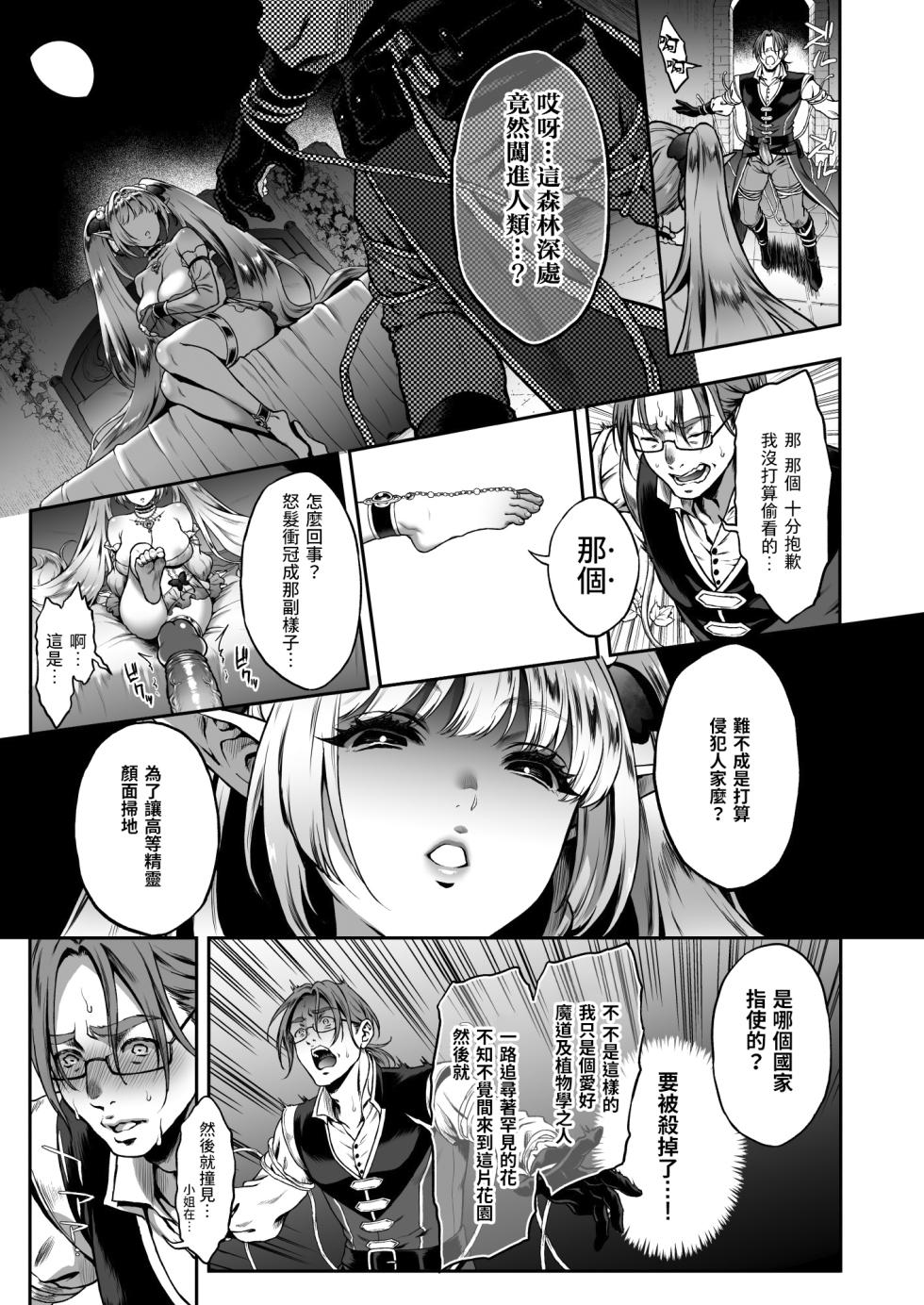 03 [moyan個人漢化] [H.B.A (うさぎなごむ)] 悠久の娼エルフ3 「夢幻」前編 [無修正] [DL版] - Page 12