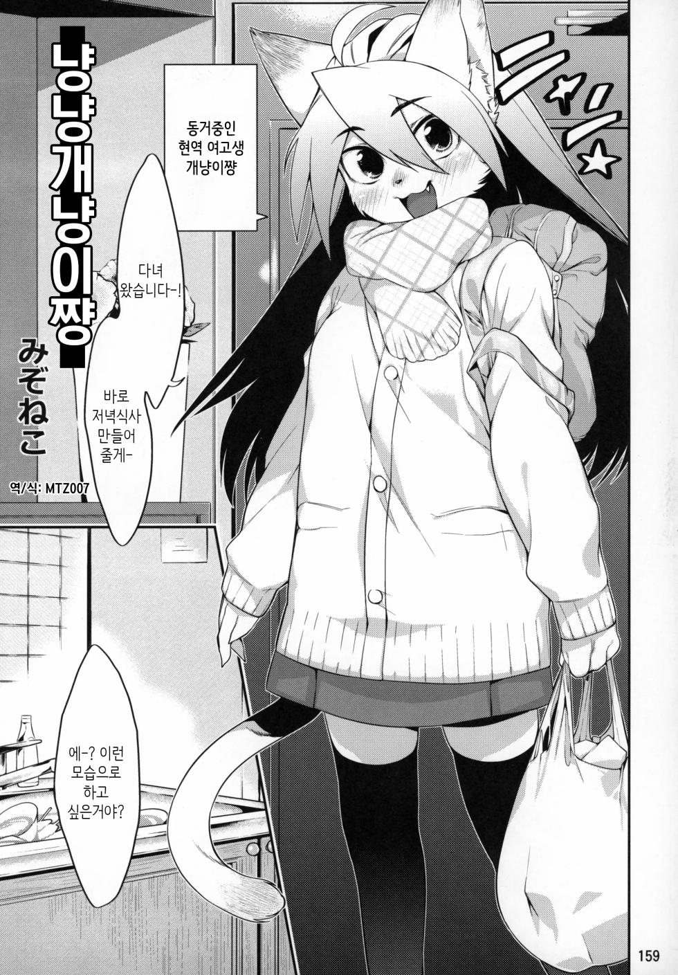 [Mizone] Nyannyan Pochi Neko-san | 냥냥 개냥이 쨩 (Kemokko Lovers 4) [Korean] [MTZ007] - Page 1