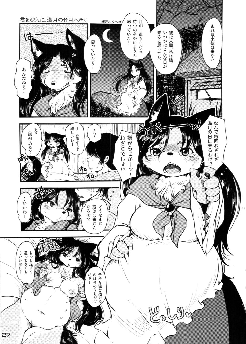 (C88) [Kitsunenomori (Various)] Touhou PLUMFUR 4 (Touhou Project) - Page 27
