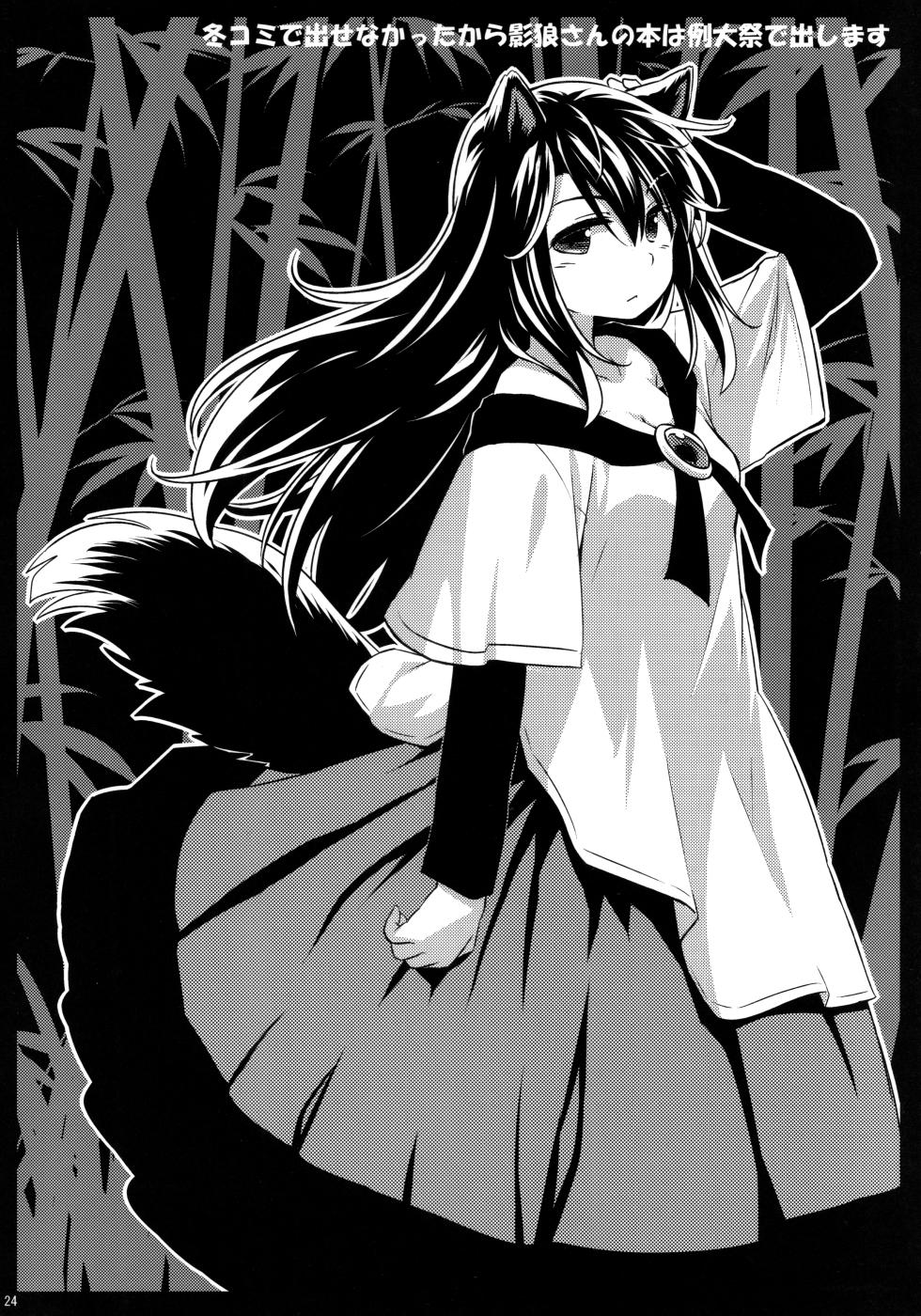 (C91) [Animal Passion (Yude Pea)] Onazrin to Senzurii Tiger (Touhou Project) - Page 23