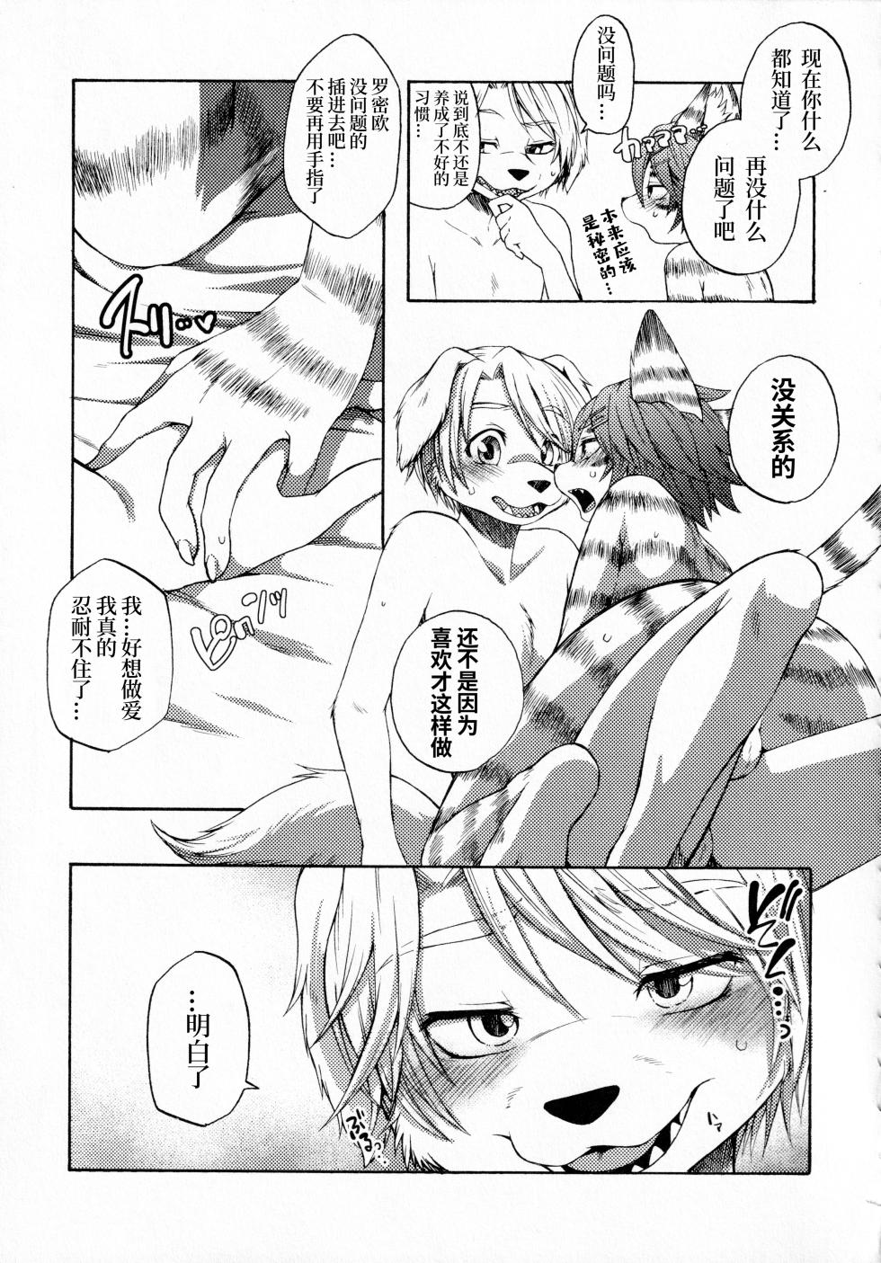 (Kemoket 10) [Dogear (Inumimi Moeta)] Every day [Chinese][CYJ233个人汉化] - Page 9
