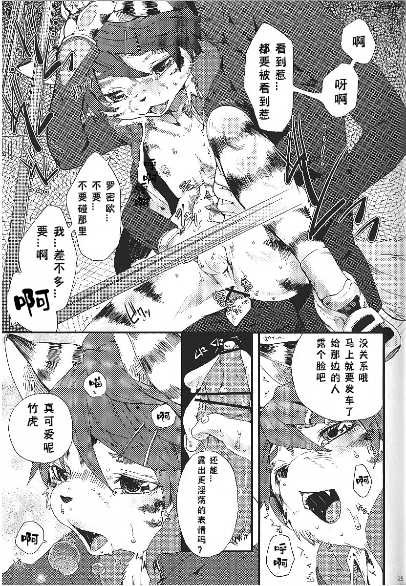 (C81) [Dogear (Inumimi Moeta)] Train Train 1 [Chinese][CYJ233个人汉化] - Page 24