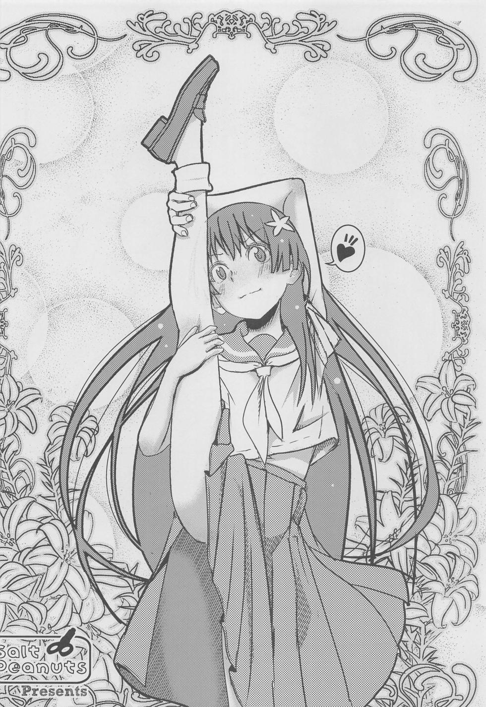 [Salt Peanuts] Papers+α (toarukagakunorerugan) - Page 19