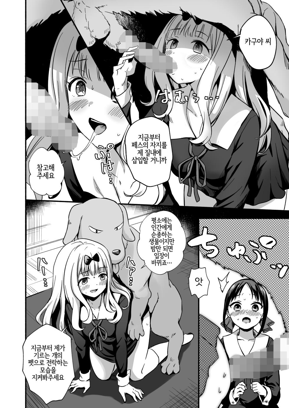 [Silver Dog] Kaguya-san Ni Pas No Seishori wo Tetsudatte itadakimashita (Kaguya-sama wa Kokurasetai) [Korean] [LWND] - Page 6