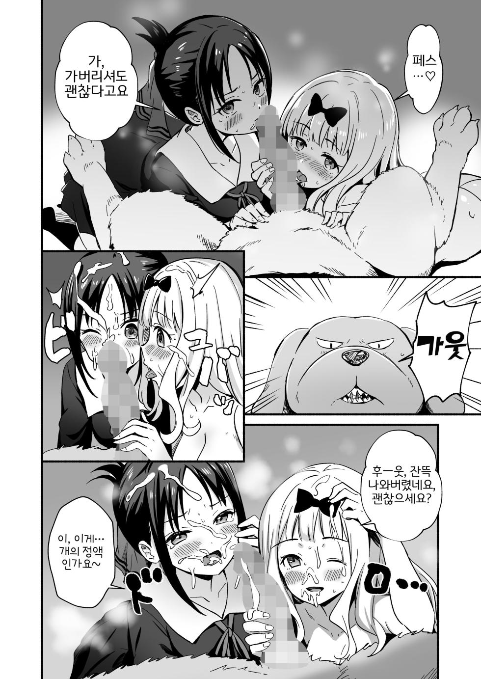 [Silver Dog] Kaguya-san Ni Pas No Seishori wo Tetsudatte itadakimashita (Kaguya-sama wa Kokurasetai) [Korean] [LWND] - Page 16