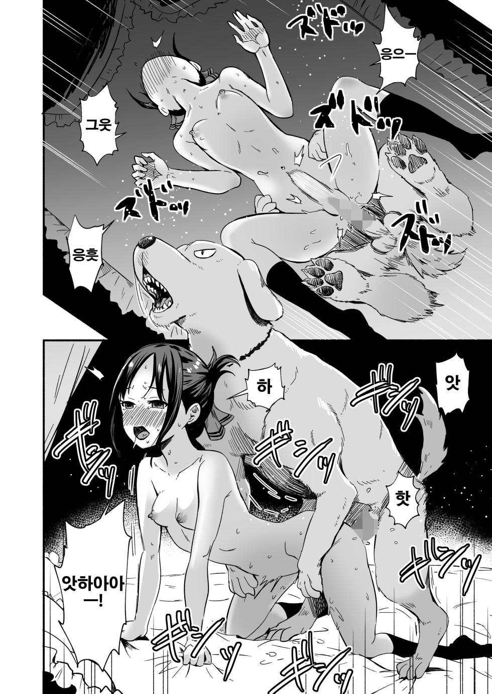 [Silver Dog] Kaguya-san Ni Pas No Seishori wo Tetsudatte itadakimashita (Kaguya-sama wa Kokurasetai) [Korean] [LWND] - Page 26