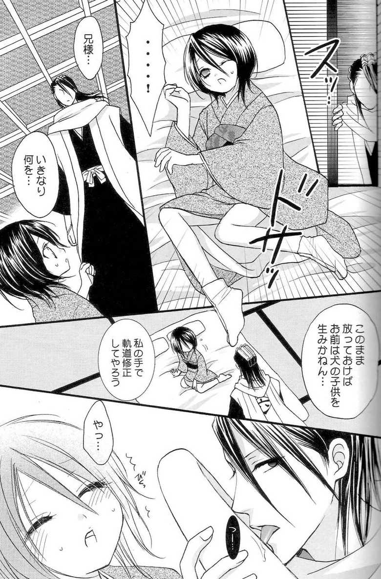 (C70) [DewDrop (Sakurai Kouki, Hattori Mitsuka, Irodori Usui)] Bindume Satougashi (Bleach) - Page 28