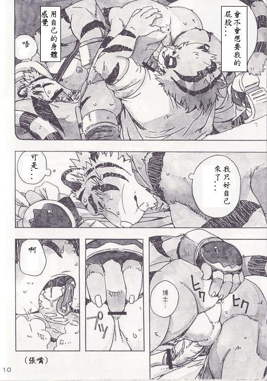 [Dragon Heart (gamma)] Choujuu Gasshin Build Tiger 5 [Chinese] - Page 11