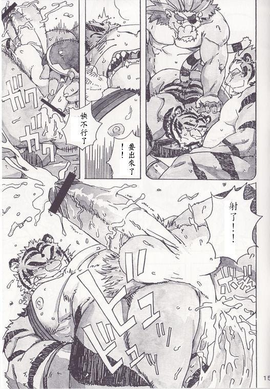 [Dragon Heart (gamma)] Choujuu Gasshin Build Tiger 5 [Chinese] - Page 16